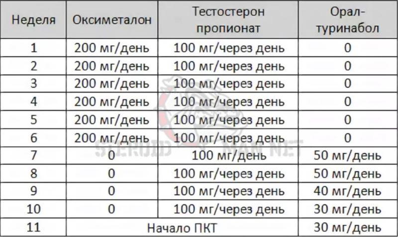 анаполон тестостерона пропионат туринабол курс схема приема